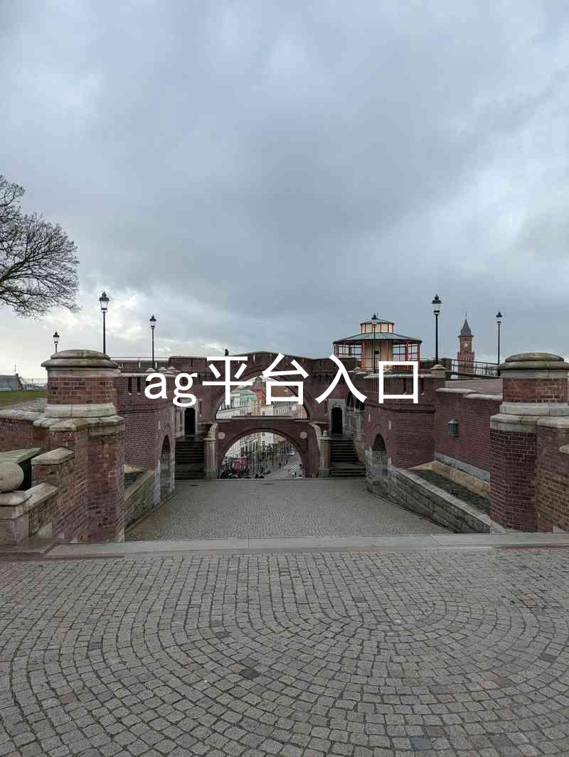 ag平台入口